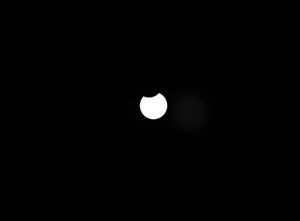 P6100048