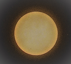 P6270009
