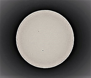 P9040023
