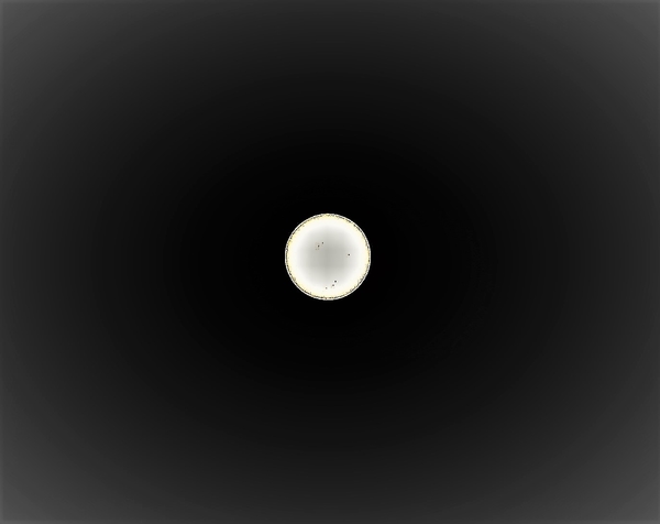 P9060002