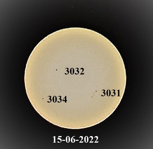 P6150015
