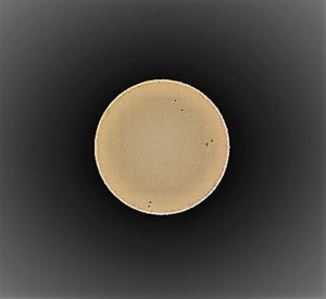 P9210003