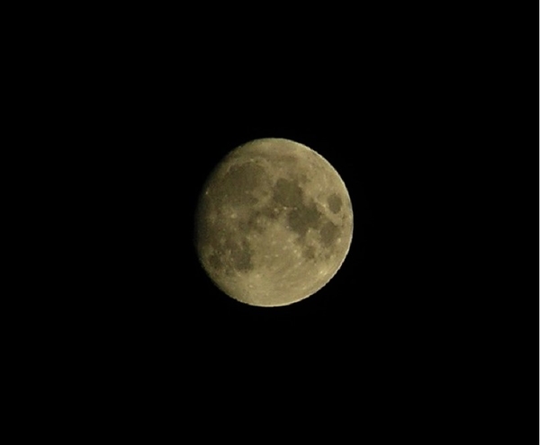 PA070019