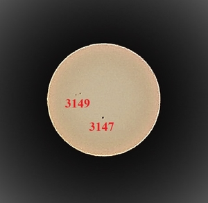 PB210019