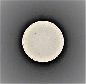 P5010005