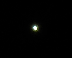 P3255034