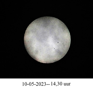 P1010031