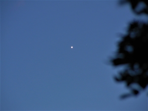 venus 30-5-2023