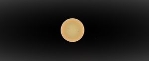 P7070020