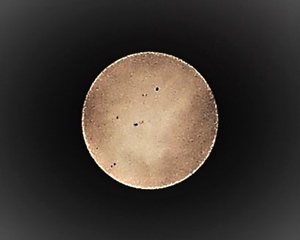 P7190018