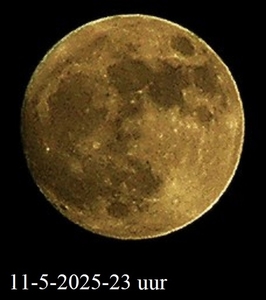 2025-05-11 005