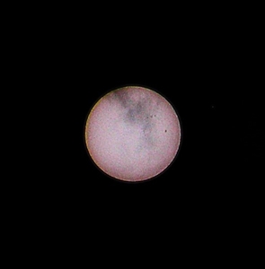 2025-06-03 016