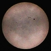 2026-02-05 006