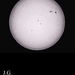 2026-02-05 011