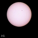 2026-02-12 028