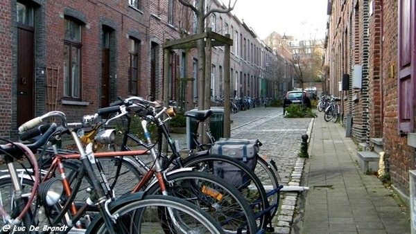 Leuven stadswandeling wsp Heverlee