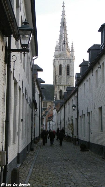 Leuven stadswandeling wsp Heverlee