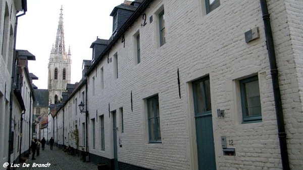 Leuven stadswandeling wsp Heverlee