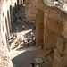 Coloseum (8)