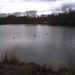 Overal water