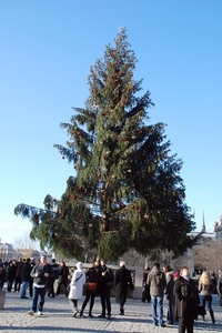 049Parijs dec 2011 - busrit en Notre Dame