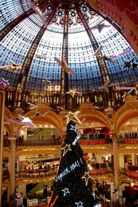 445Parijs dec 2011 - La Fayette