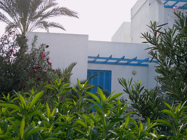 Mijn terras van de bungalow