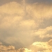 DSC02906