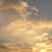 DSC02907
