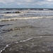 DSC02917