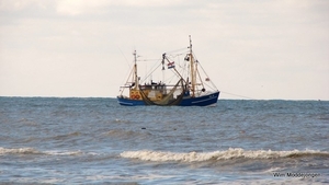 DSC02918