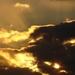 DSC02931