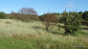 DSC02946
