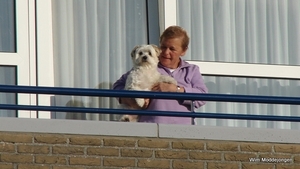 DSC02951