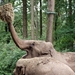 burgers zoo 004