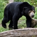 burgers zoo 024