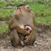 burgers zoo 033