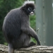 burgers zoo 049