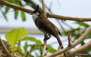 burgers zoo 077