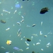burgers zoo 120