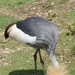 burgers zoo 133