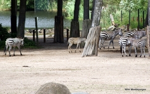 burgers zoo 140