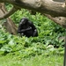 burgers zoo 164