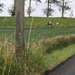 JUNI2011-5
