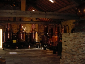minitrip2011-21