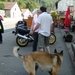 minitrip2011-95