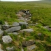 minitrip2011-104