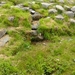 minitrip2011-105