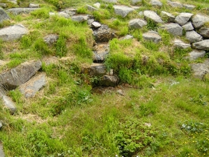 minitrip2011-105