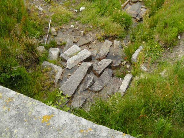 minitrip2011-106